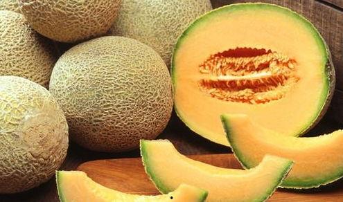 吃各种网红哈密瓜,品味时尚与甜蜜的碰撞 第3张 吃各种网红哈密瓜,品味时尚与甜蜜的碰撞 第3张