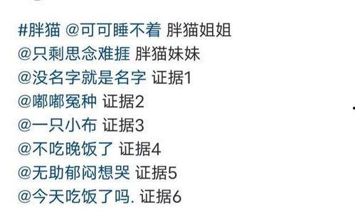 胖猫最新爆料,娱乐圈最新爆料大揭秘！  第1张